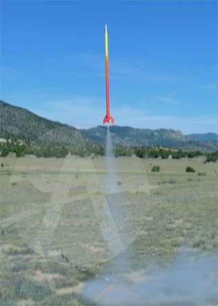 NeMSAR 5 NeMSAR - Image 5