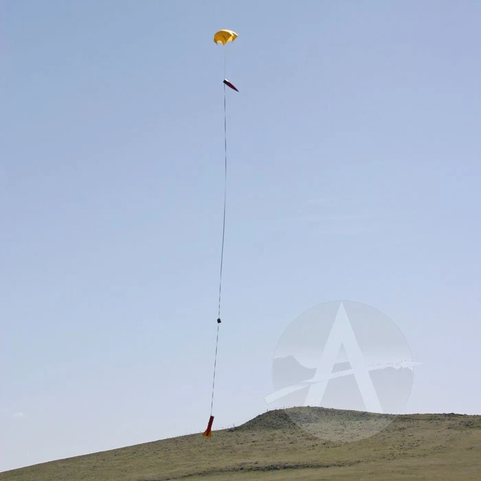 Sumo 10 Sumo - Image 10