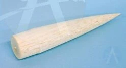 Red Star 19 Red Star -Rocket Model Shop 4ce8fbb713dafe25292fbceaa436b39e.image .306x166