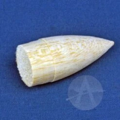 Corporal 23 Corporal -Rocket Model Shop 5381adaab9ee613d41b71a22efc42d15.image .700x700